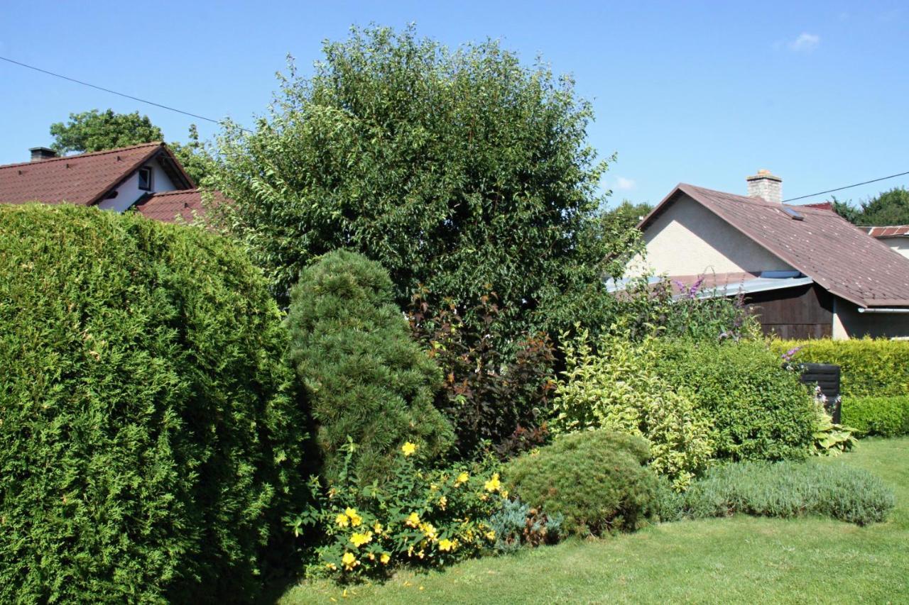 Ubytovani Zdarske Vrchy Světnov Exterior foto